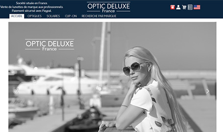 Site d'un grossiste de monture de lunettes de marque destiné aux professionnels de l'optique. - Création de site web par Webink à Marseille